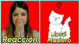REACCIÓN JOSÉ MADERO - Teo, El Gato Persa Rinde Su Declaración [ÁLBUM CARMESÍ] | Natuchys
