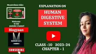Human Digestive system | dental formula of human teeth | part of stomach | small and large intestine
