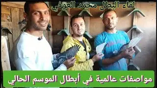 لقاء ممتع جدا مع البطل محمد العوفي وفرجة حمام عن الأبطال الفائزين السنادي @كوكبالزاجل-عبدهالباز