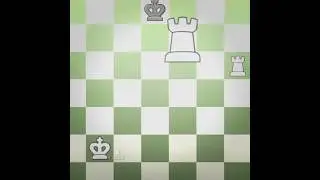 THE ROOK!! / #chess #brilliantmove #chesscom #chessedit