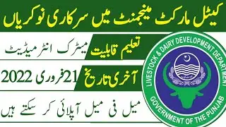 PUNJAB CATTLE MARKET MANAGEMENT AND DEVELOPMENT COMPANY (PCMMDC) government jobs February 2022
