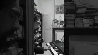 Improvisation sur le TH&Egrave;ME II de Saez, dans 