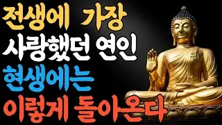 전생에 가장 사랑했던 연인 현생에 이렇게 돌아온다.