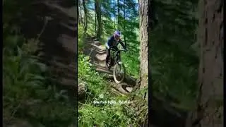 La for&ecirc;t du Bikepark Tignes - Val d'Is&egrave;re
