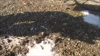 Cleaning with Slick Offroad Wash