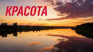 Релакс на берегу Волги 🌿 Звуки природы, птиц и насекомых  1 час спокойствия