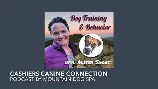 Cashiers Canine Connection Podcast Episode 2: How we Communicate with Dogs