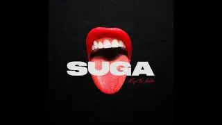 Megan Thee Stallion - Savage (Clean) [Official] {Suga}