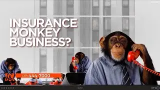 Car Accident? Don't Let Insurance Monkey Around with Your Claim!  Call Caldwell Wenzel 251-444-7000!