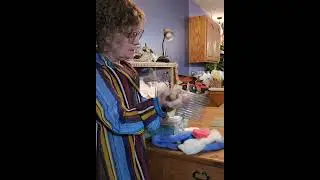 Using Wool Combs to Make Custom Colored Combed Top #spinningwheel #tutorial #felting