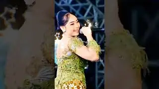 new trending song
