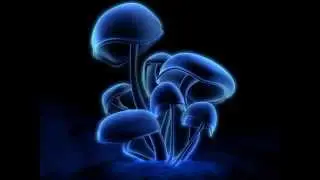 Westrance - Classic Hardgroove Techno (1998)