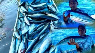 Mancing di saat ikan yang sedang kelaparan || banyak sambaran😱