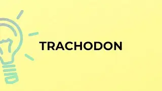 What is the meaning of the word TRACHODON?