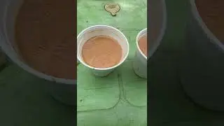 Tea was fantastic