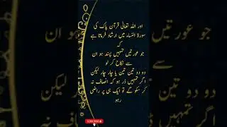 4 shadiyan in Islam Sura e Nisa #YouTube #shorts #islamic vedios
