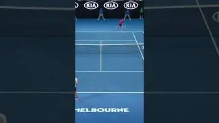 Roger Federer's touch of GENIUS! 👌