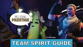 Fortnite | Team Spirit Mission