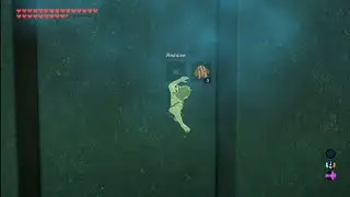 Botw How to shield clip through walls in Master sword trials