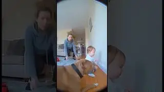 Indoor Camera catches Hero dog saving little boy from electric shock. ⚡️ 🐶 #hero #viral #subscribe