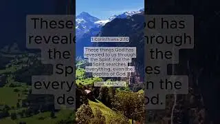 Daily Manifesting | Law of Attraction  #reddit #fortuneteller #redditstories #shortsfeed #motivation