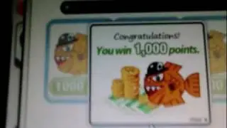 Pumbi  1000 Points