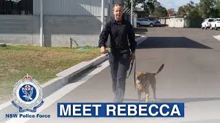 Meet Senior Constable Rebecca: Dog Development Assistant - NSW Police Force