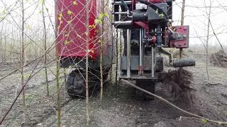 Selectief bomen rooien met rooimachine op rupsen | Tree lifting machine