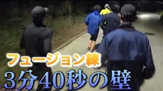 【フュージョン練】2時間40分レベルのTMペースに悶絶