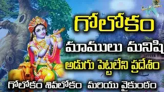 Goloka - Lord Krishna's | గోలోకం మాములు మనిషి అడుగు పెట్టలేని ప్రదేశ | గోలోకం శివలోకం వేకుంటం