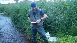 Ecology Surveys in the Catchments
