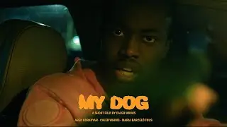 MY DOG | Mixed Media Short Film
