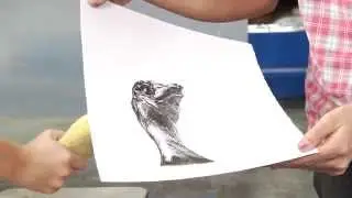 Pressure + Ink: Introduction to Lithography