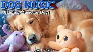 20 Hours of Calming Dog Music🦮💖Gentle Melodies for Deep Sleep🎵💤Anxiety Management, Dog TV