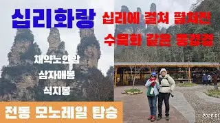십리화랑(十里畵廊)은 '십 리(약 4km)에 걸쳐 동양화가 펼쳐진 화랑'이라는 뜻을 가진 이름 그대로의 절경을 자랑하는 곳입니다.