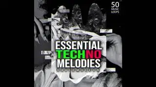 David Moleon &ndash; Essential Techno Melodies / Music Loops
