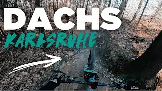 From Dachs till dawn | SMDH Karlsruhe | Single Trail Action auf dem Firebird 29 |  Jonas Heidl