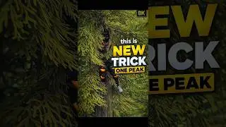 🔥 New Tricks On Peak Tree 🔥 !! Hidden Place 👍 In Br Rank ☠️🔥#shorts #freefireshorts