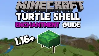 1.16 Turtle Shell Enchantment Guide (Best Turtle Shell in Minecraft)