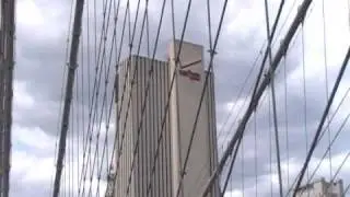 ny206