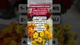 PAMPASWERTE 2025 #pamahiin #pampaswerte #fengshui #shortsvideo #trendingvideo  #viralshorts #tips