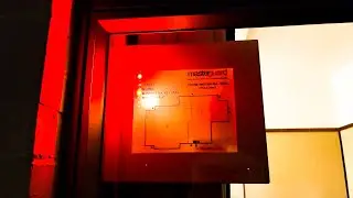 Ashburton Fire Station PFA (Fire Siren Sounding)