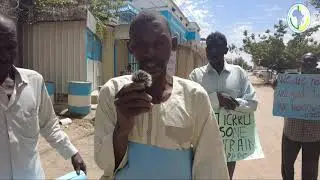 WFP (Practices Human Trafficking)  arbitrary dismissed security guards protested