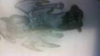Is alice DEAD??? (BATIM Chapter three THEORY!!!)