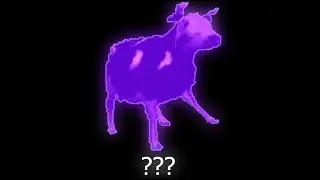 11 Dancing Polish Cow Sound Variations in 50 Seconds