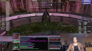Live - Everquest (Quarm) - Ssra Temple etc - 1.27.26