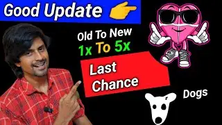 Lovely Inu Coin latest update// Old lovely swap to New Lovely// Dogs airdrop wallet connect