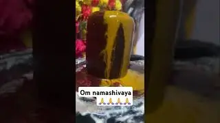 Chitrapuri colony lig lo rudrabishekam 🙏🙏🙏🙏🌸🌸🌸om namashivaya 🙏 😀 😳