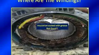 $300,000 Saved.... Thanks MCEMax (stator fault zone)