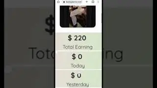 A boy earn 20 dollars in a day.How he make money t